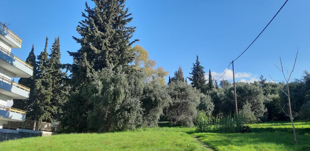 Όμορφο Studio Στην Πόλη Πάτρα ภายนอก รูปภาพ